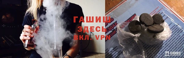 ГАЛЛЮЦИНОГЕННЫЕ ГРИБЫ Корсаков