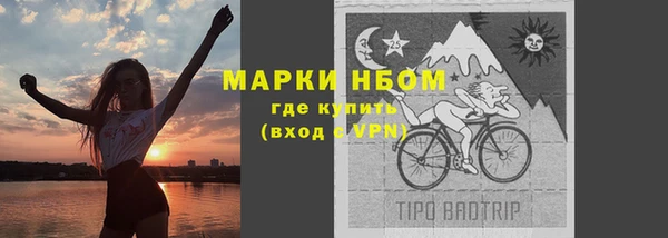 ГАЛЛЮЦИНОГЕННЫЕ ГРИБЫ Корсаков