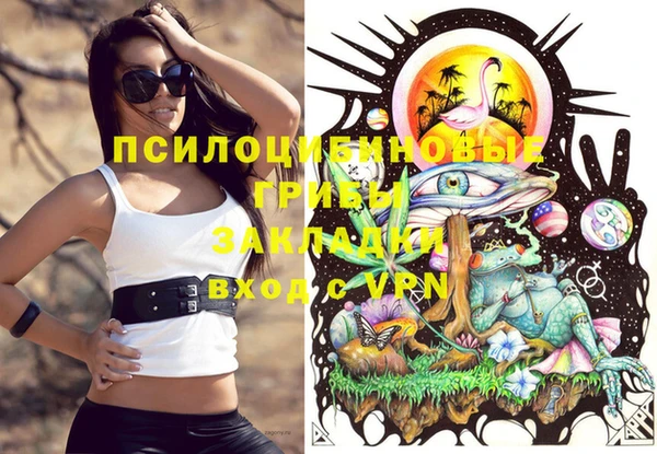 мяу мяу кристалл Коряжма