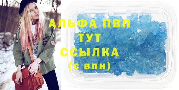 ГАЛЛЮЦИНОГЕННЫЕ ГРИБЫ Корсаков